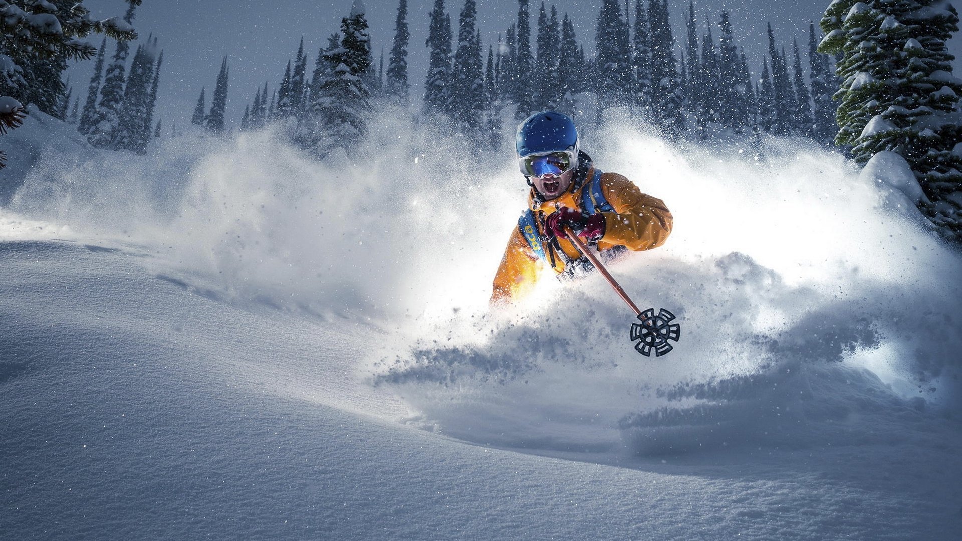 冠军看好冠军!张宁押注国羽苏杯成功卫冕!,国羽队张宁的教练